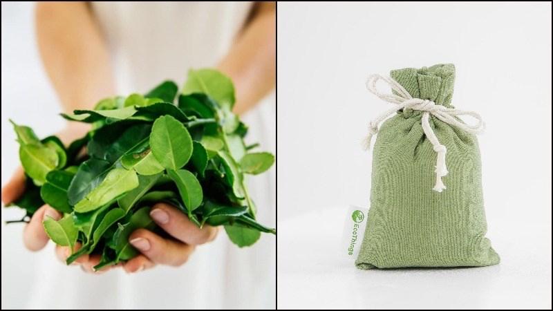Chanh Chúc ( Chanh số 8 )-duoc-ban-tai-Giống Cây Trồng Anh Mão