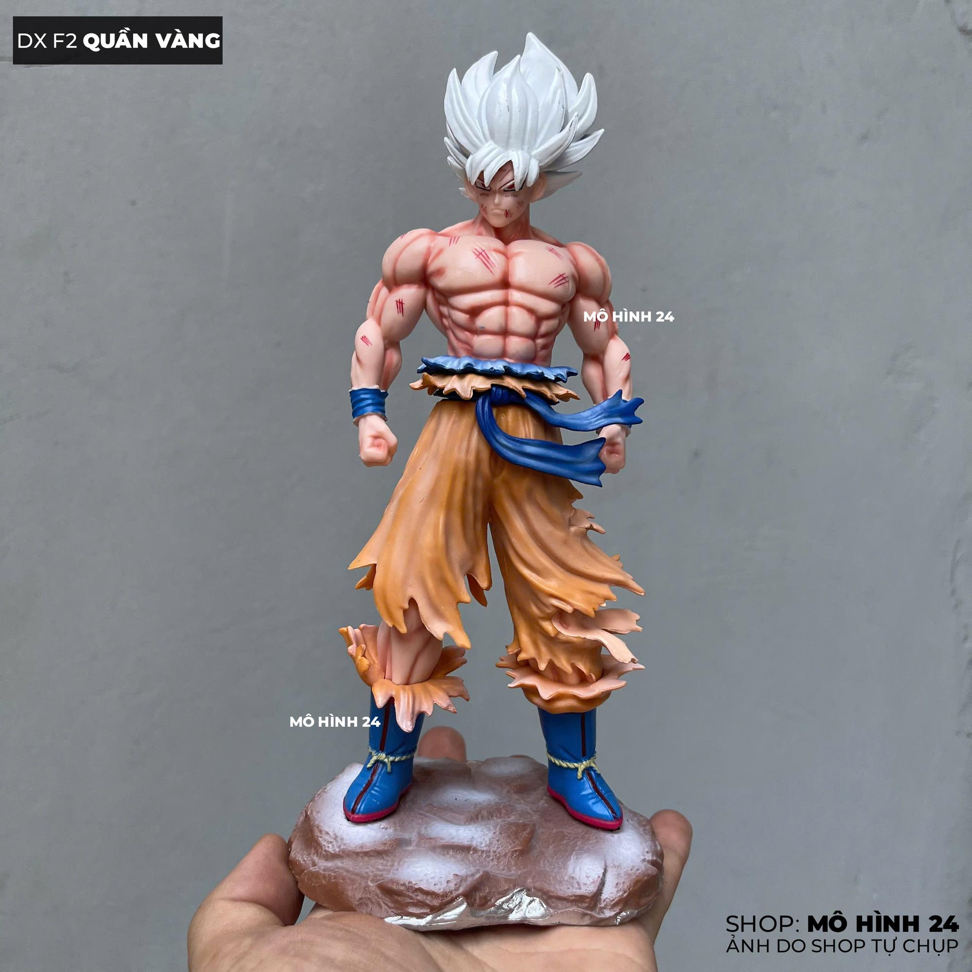 Mô hình nhân vật Goku vô cực DX F2 dx studio cao 21cm-duoc-ban-tai-Mô hình 24