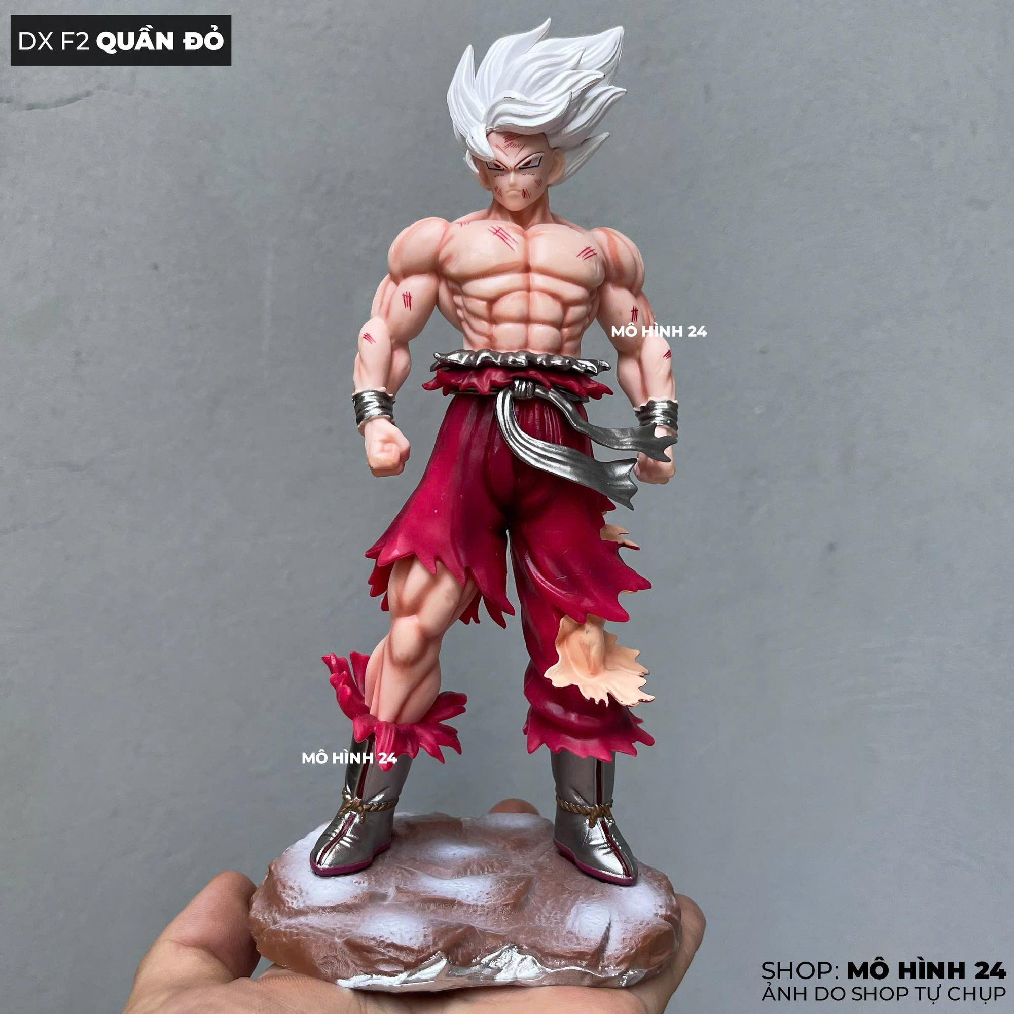 Mô hình nhân vật Goku vô cực DX F2 dx studio cao 21cm-duoc-ban-tai-Mô hình 24