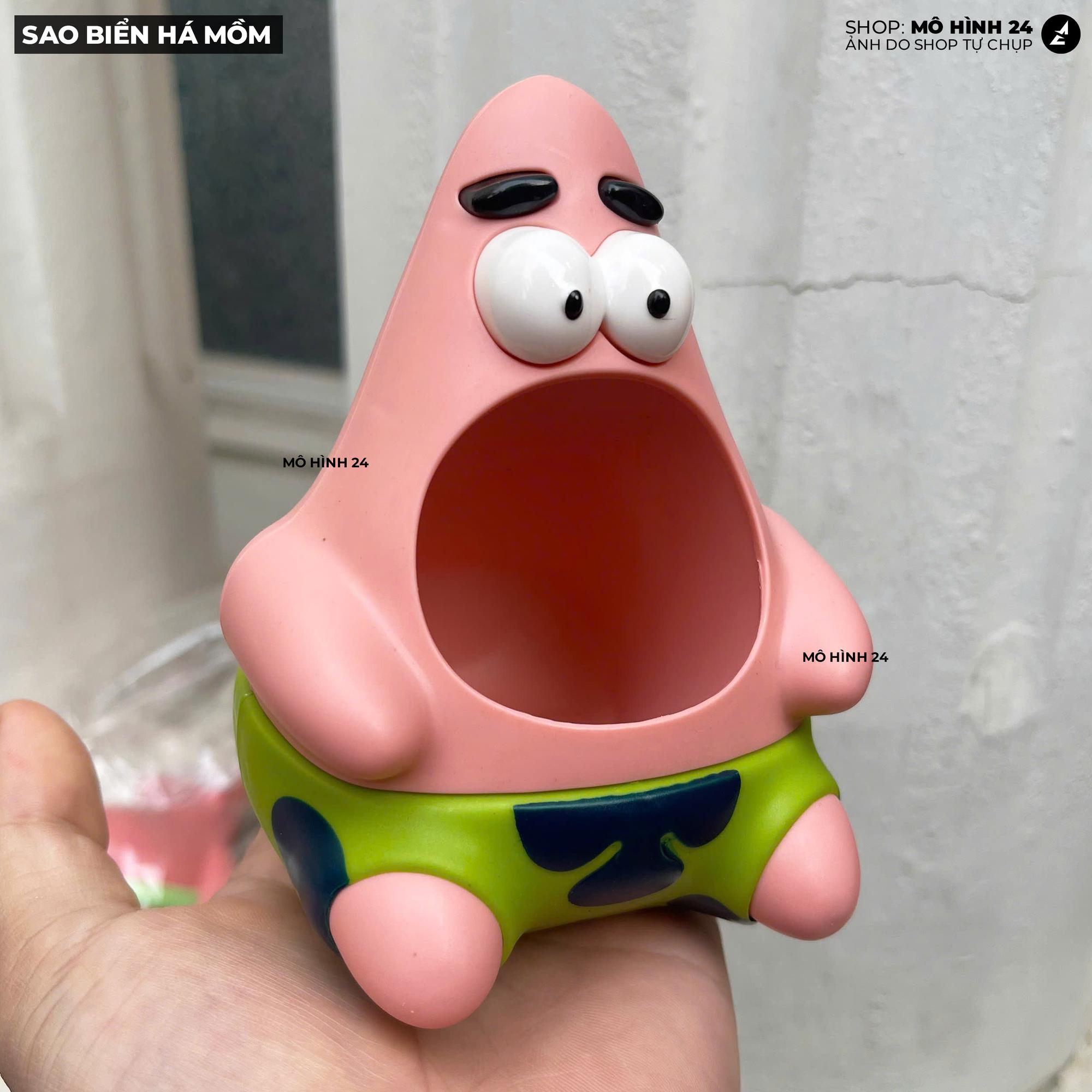 SAO BIỂN HÁ MỒM-duoc-ban-tai-Mô hình 24
