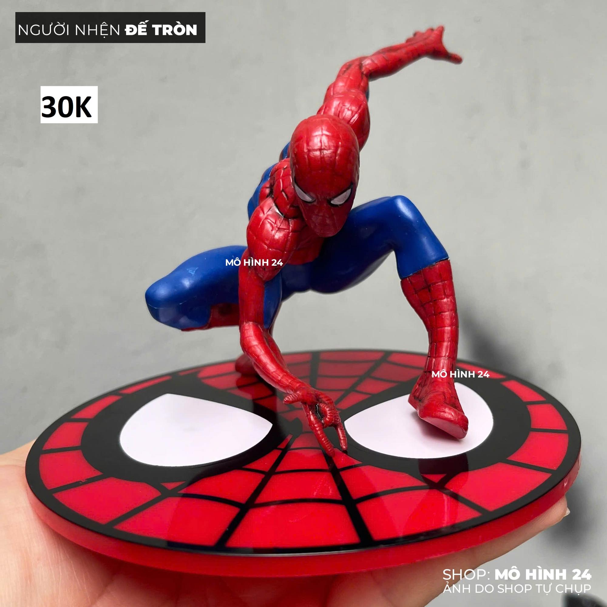 NGƯỜI NHỆN ĐẾ TRÒN-duoc-ban-tai-Mô hình 24