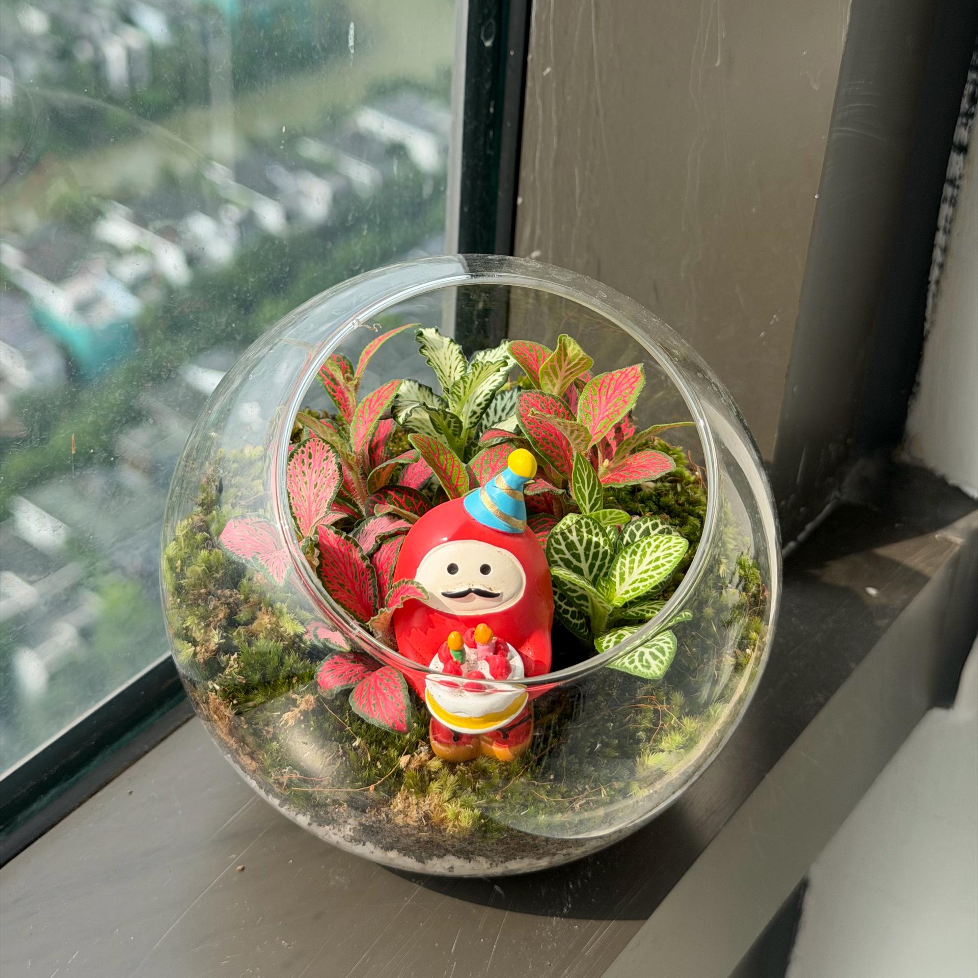 Terra bóng tròn cẩm nhung may mắn 10cm-duoc-ban-tai-Camy Garden - Cây Xinh Hà Nội
