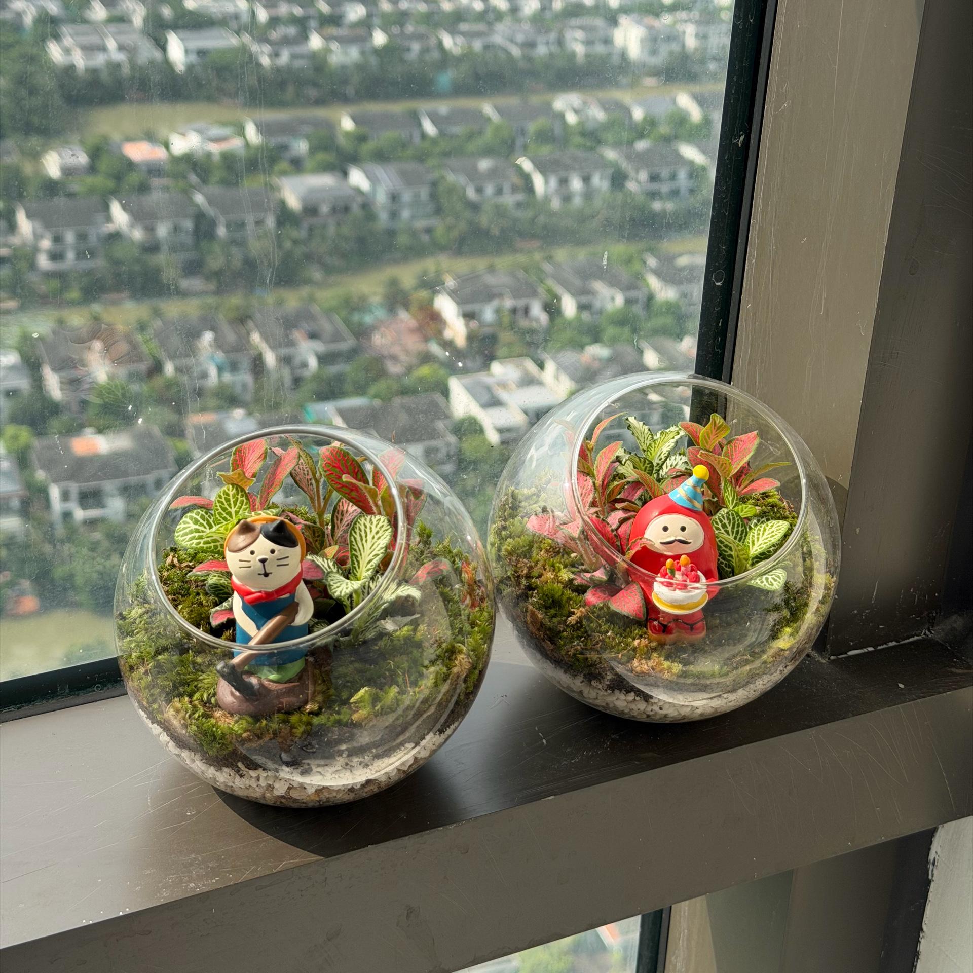 Terra bóng tròn cẩm nhung may mắn 10cm-duoc-ban-tai-Camy Garden - Cây Xinh Hà Nội