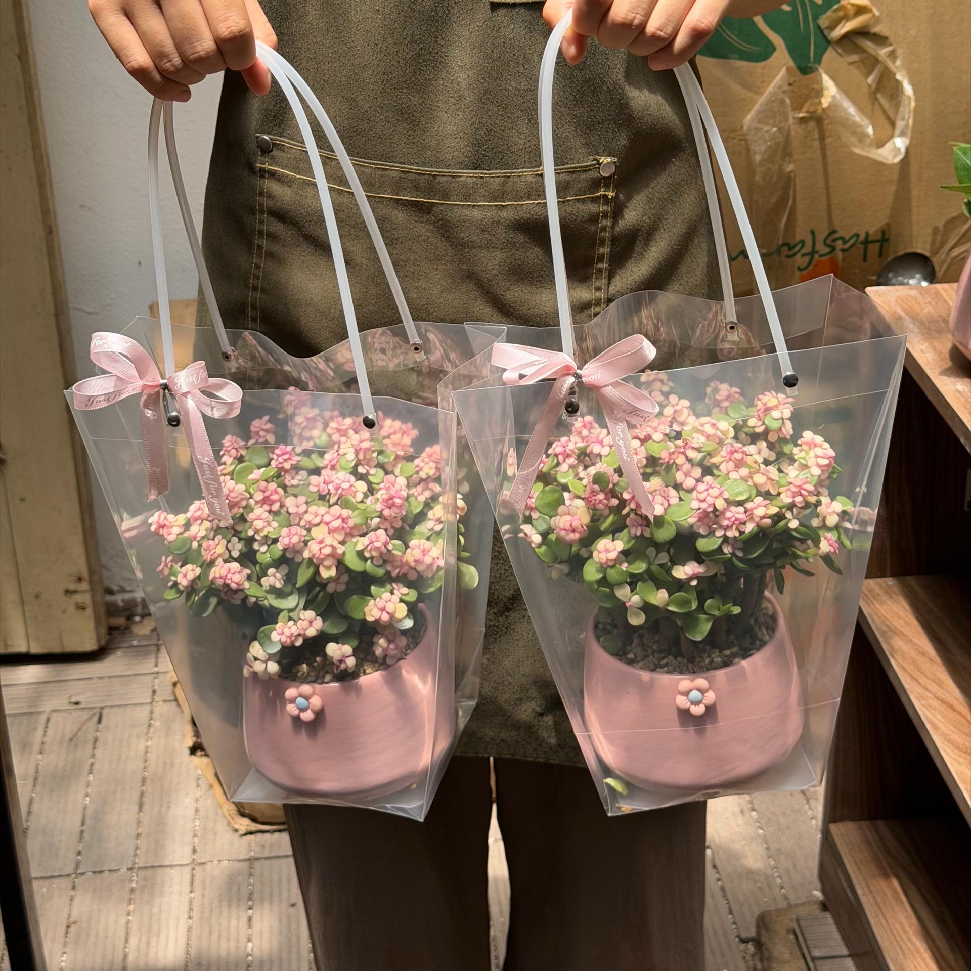 Set dola quà tặng-duoc-ban-tai-Camy Garden - Cây Xinh Hà Nội