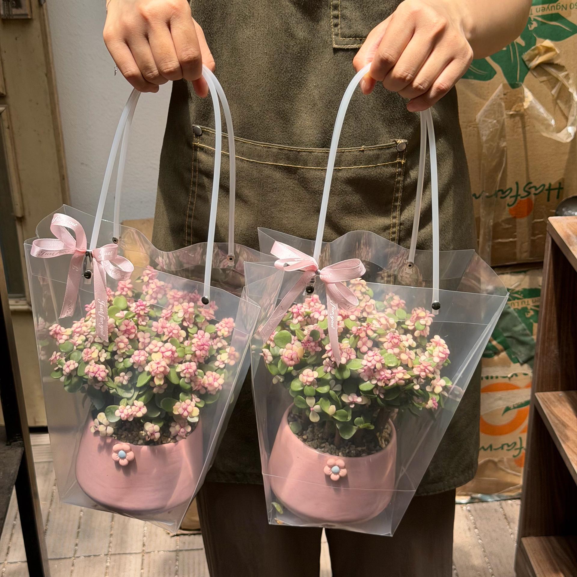 Set dola quà tặng-duoc-ban-tai-Camy Garden - Cây Xinh Hà Nội