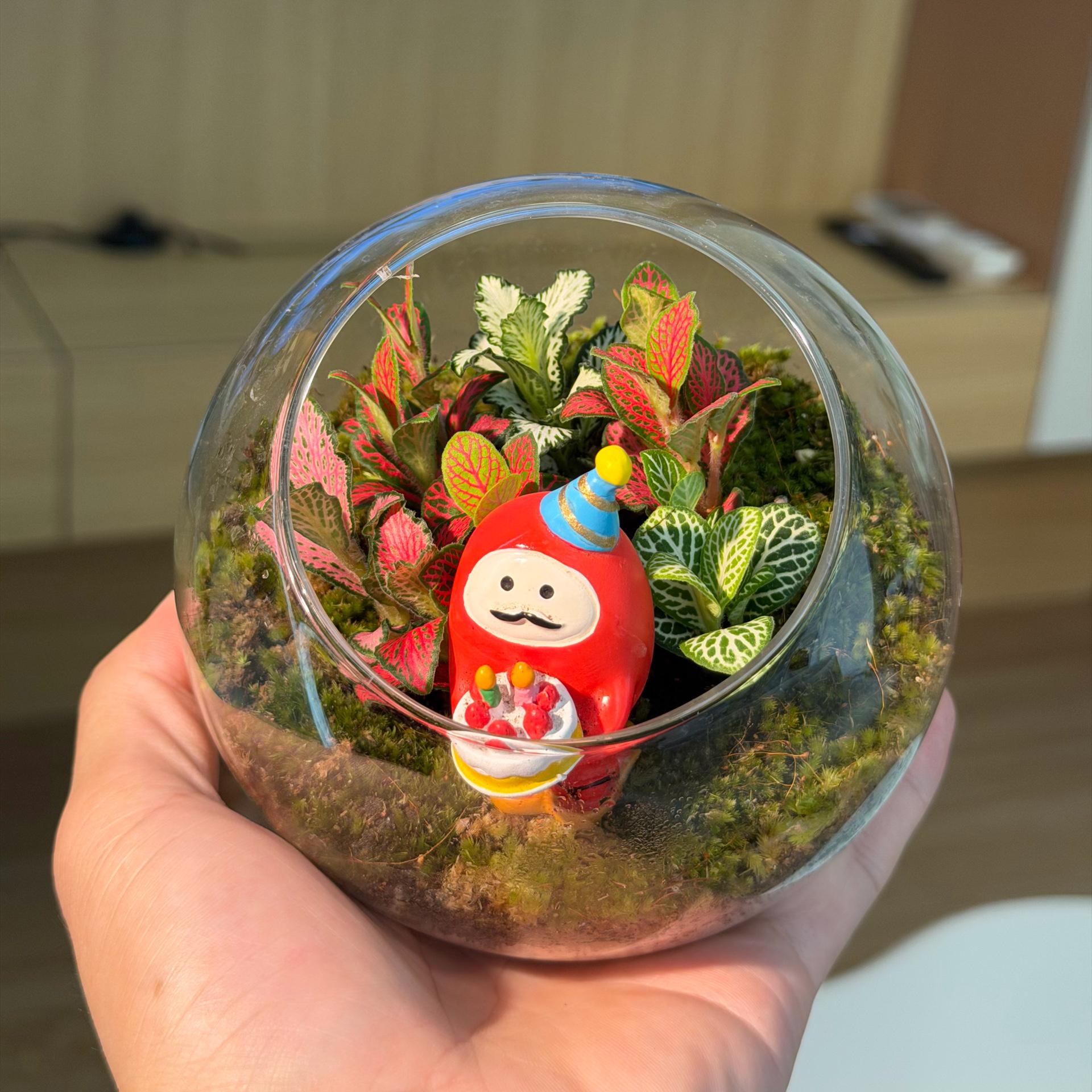 Terra bóng tròn cẩm nhung may mắn 10cm-duoc-ban-tai-Camy Garden - Cây Xinh Hà Nội