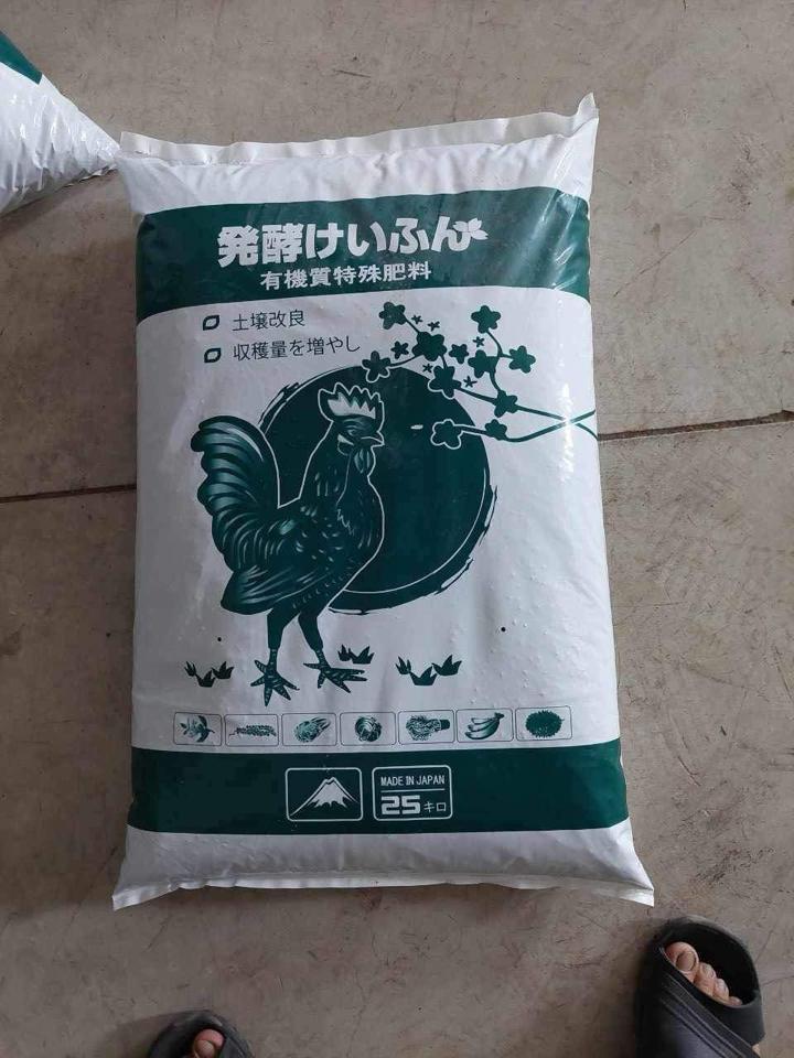 Nở Nhật BANA ZIN-duoc-ban-tai-JORDAN