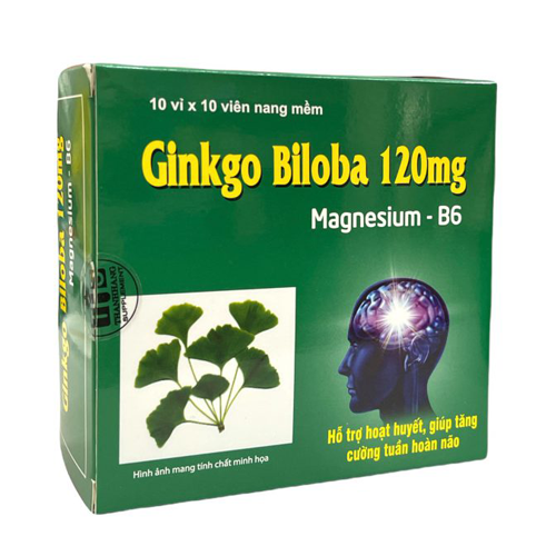 Ginkgo biloba magnesi hộp 100v-duoc-ban-tai-Dược sỉ hapulico hà nội