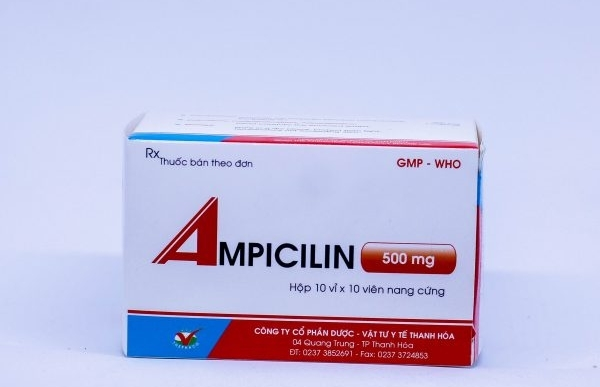 Ampicilin 500mg thanh hoá hộp 10 vỉ x 10 viên-duoc-ban-tai-Thuốc sỉ hapulico hà nội