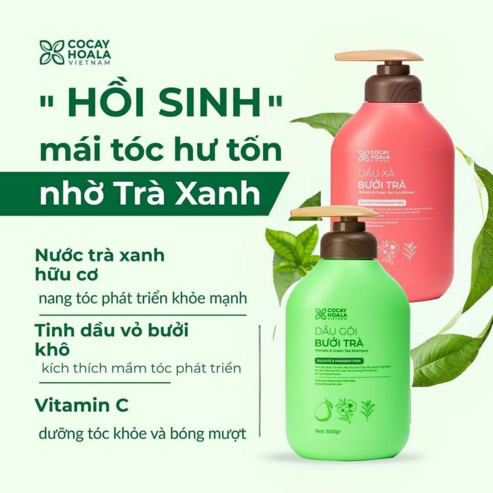 Dầu gội Bưởi Trà Cỏ Cây Hoa Lá phục hồi hư tổn kích thích mọc tóc 500gr-duoc-ban-tai-Hana Store Ngọc Nguyễn