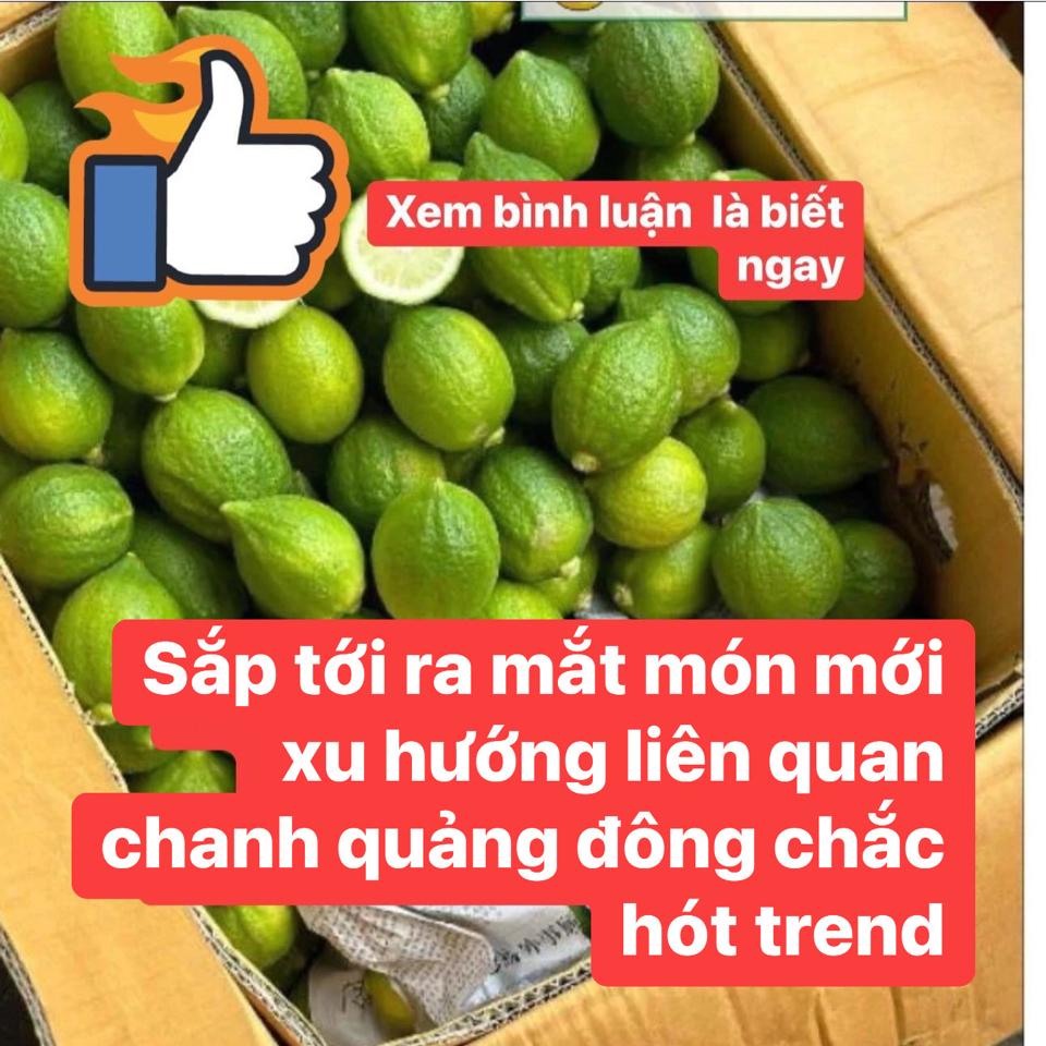 Rau cau cá dẻo -duoc-ban-tai-CSHKD PHA CHẾ ĐỒ UỐNG  HỒNG BÉO - NGUYÊN LIỆU ĐÀI LOAN