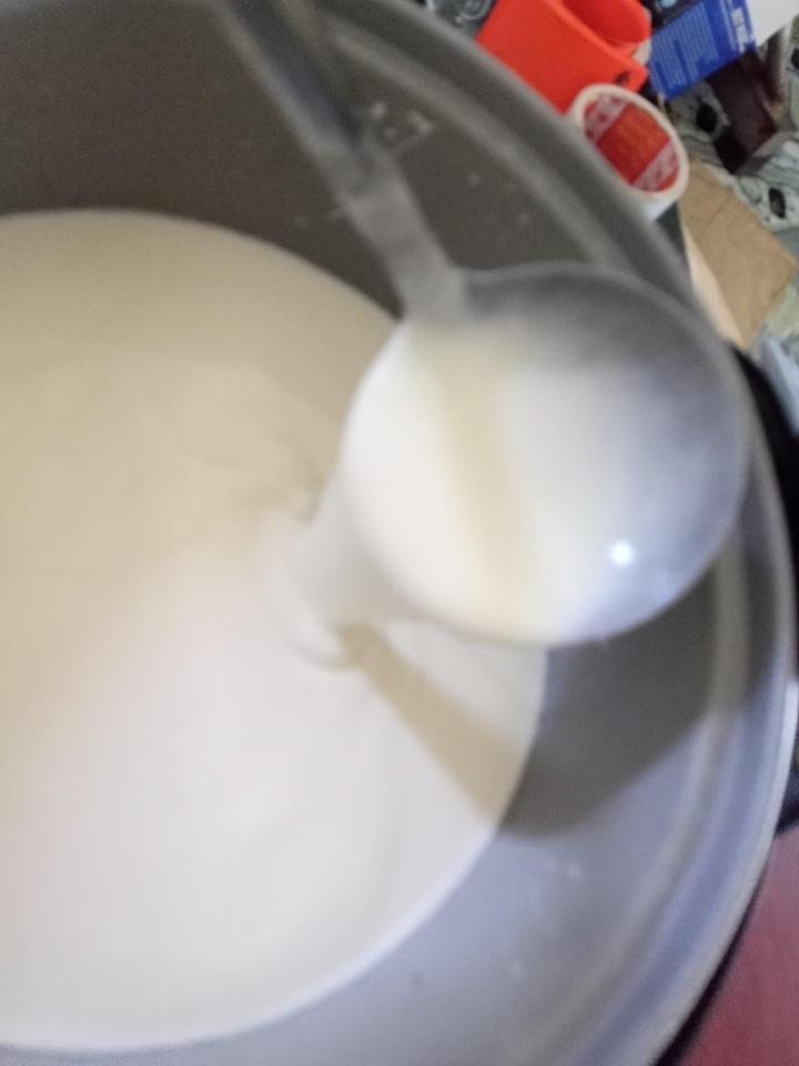 Bột sữa chua dẻo lên men1.3 kg-duoc-ban-tai-CSHKD PHA CHẾ ĐỒ UỐNG  HỒNG BÉO - NGUYÊN LIỆU ĐÀI LOAN