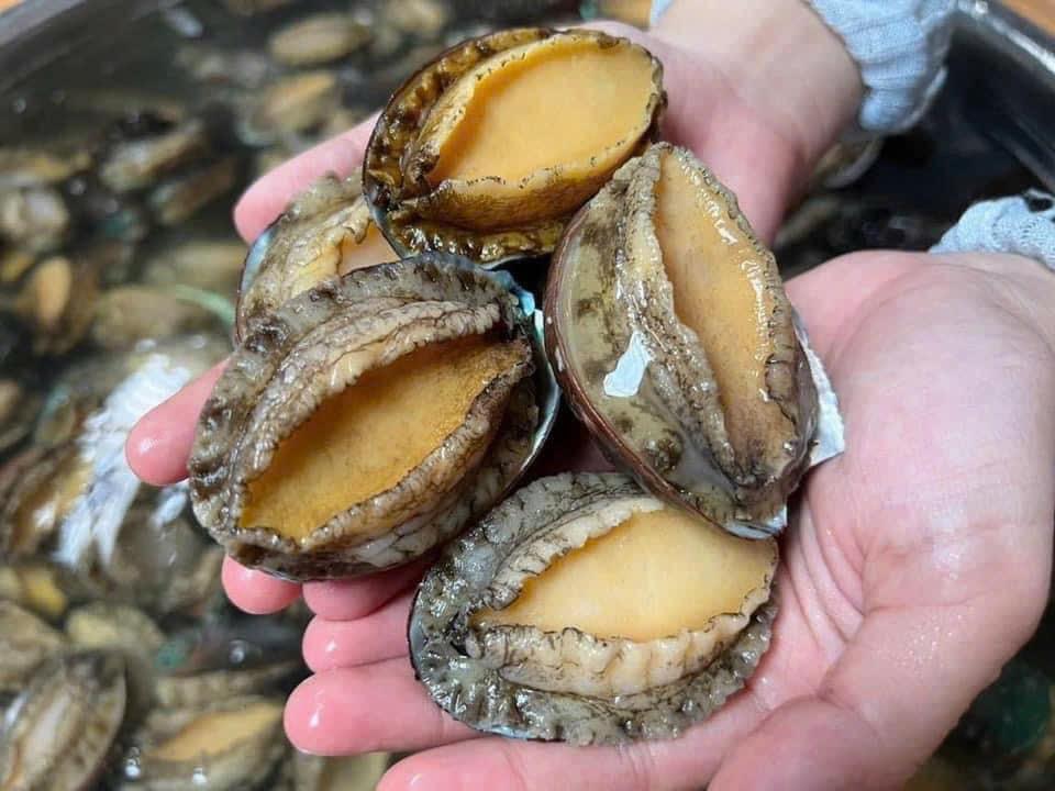 Bàu ngư-duoc-ban-tai-Hải Sản Tiên Tiên