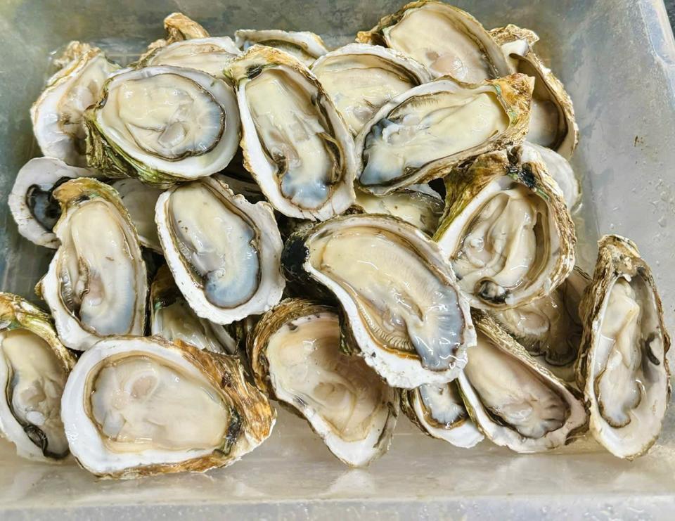 Hàu đại dương-duoc-ban-tai-Hải Sản Tiên Tiên