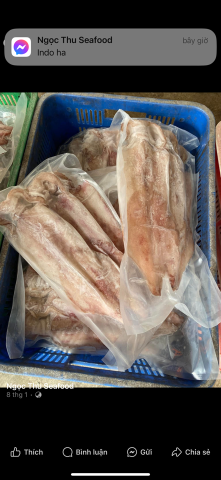 Mực 1 nắng bán theo con -duoc-ban-tai-Hải Sản Tiên Tiên