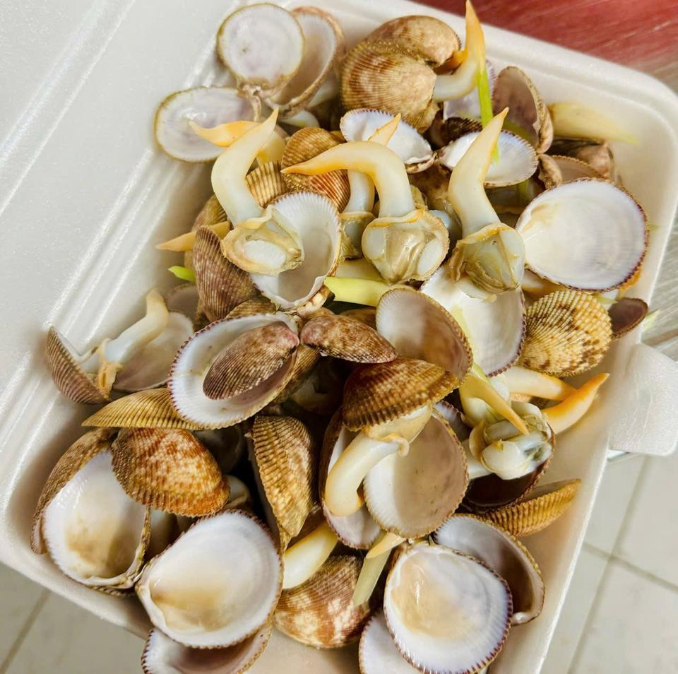 Sò dương bi-duoc-ban-tai-Hải Sản Tiên Tiên