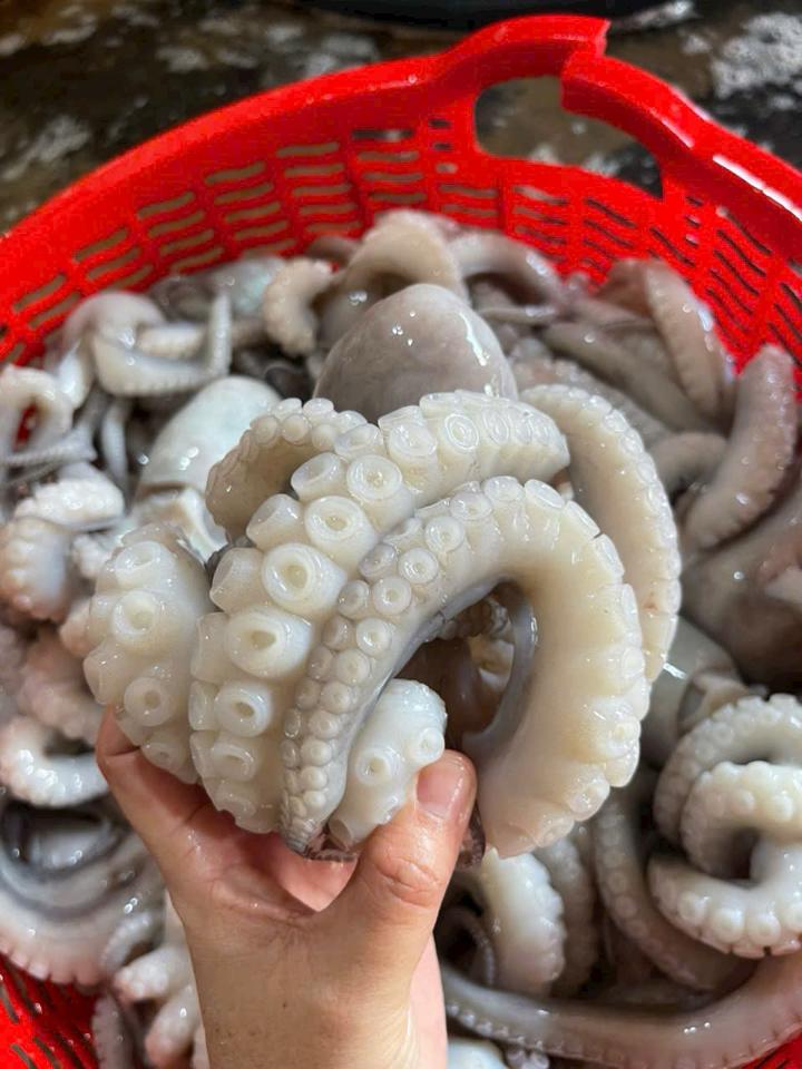 Mada xoăn-duoc-ban-tai-Hải Sản Tiên Tiên