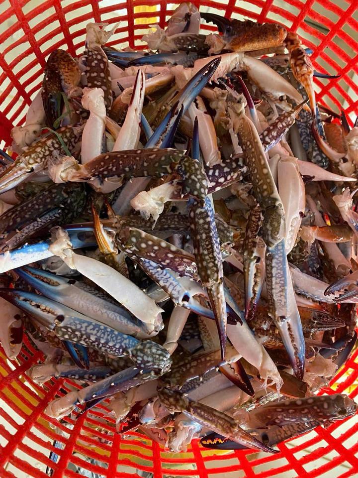 Càng ghẹ -duoc-ban-tai-Hải Sản Tiên Tiên