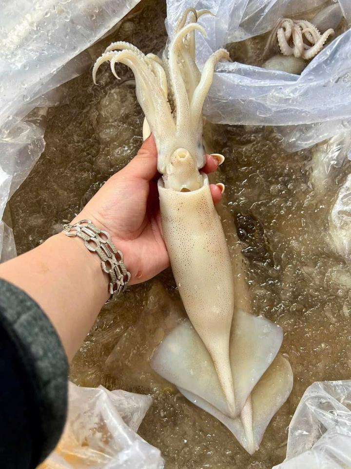 Mực ống con sale Ngọc Thu -duoc-ban-tai-Hải Sản Tiên Tiên