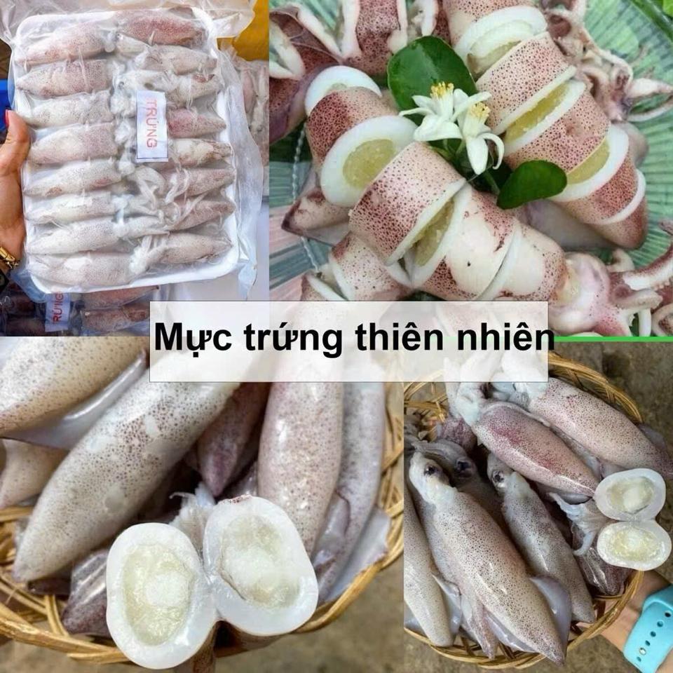 Mực trứng thiên nhiên-duoc-ban-tai-Hải Sản Tiên Tiên