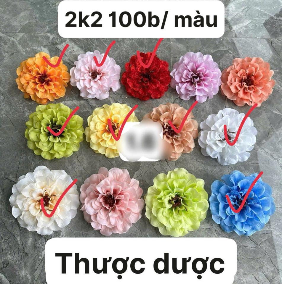 Thược dược -duoc-ban-tai-TỔNG KHO BÁNH KẸO, RƯỢU, PHỤ KIỆN