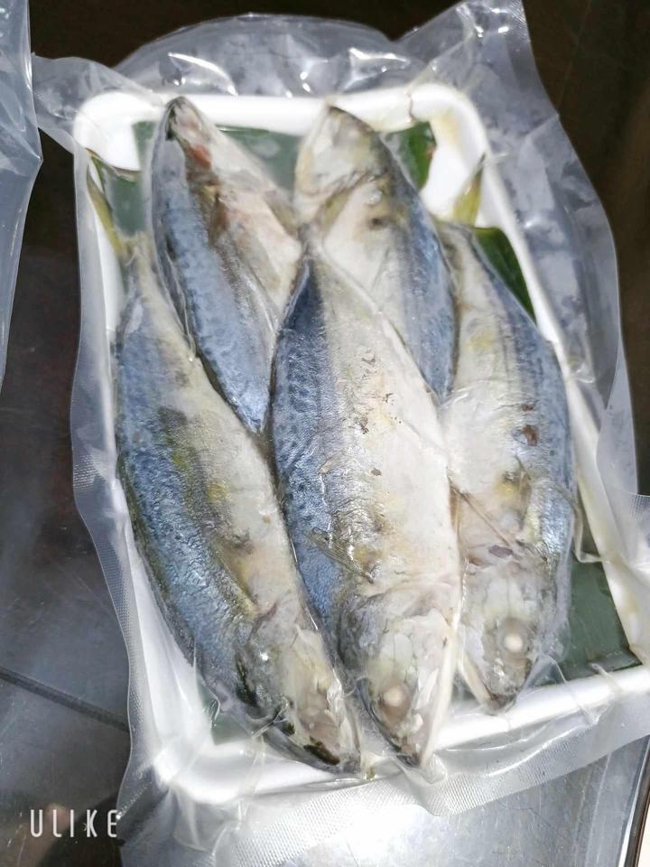 Cá hấp 1 kg (cá to 7 con 1kg) -duoc-ban-tai-C An