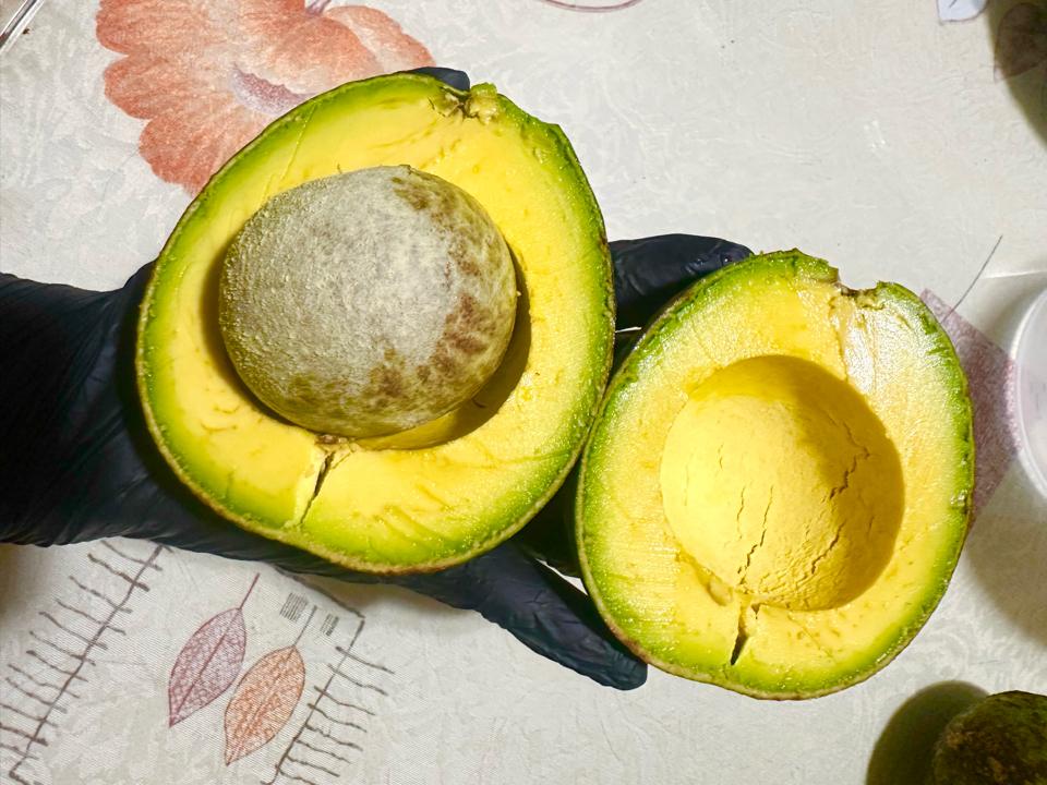 Kem Bơ Tươi size S-duoc-ban-tai-Raccun - Kem Ngon Từ Trái Cây Tươi và Tự Nhiên