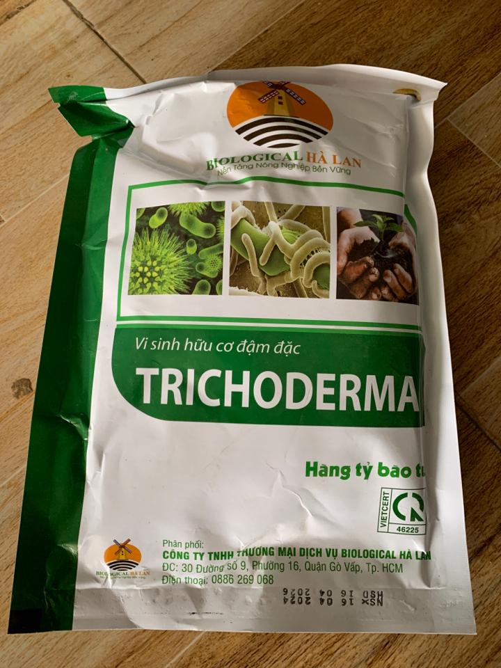 Tricho Hà lan-duoc-ban-tai-VTNN 365QH - VUA LY DON