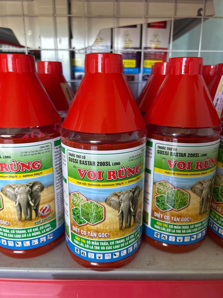 Cỏ Voi Rừng 200SL -duoc-ban-tai-VTNN 365QH - VUA LY DON