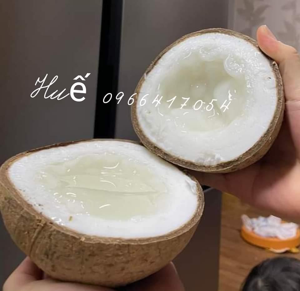 Dừa sáp ( size trung)-duoc-ban-tai-Đặc Sản Tây Nguyên Huế_48