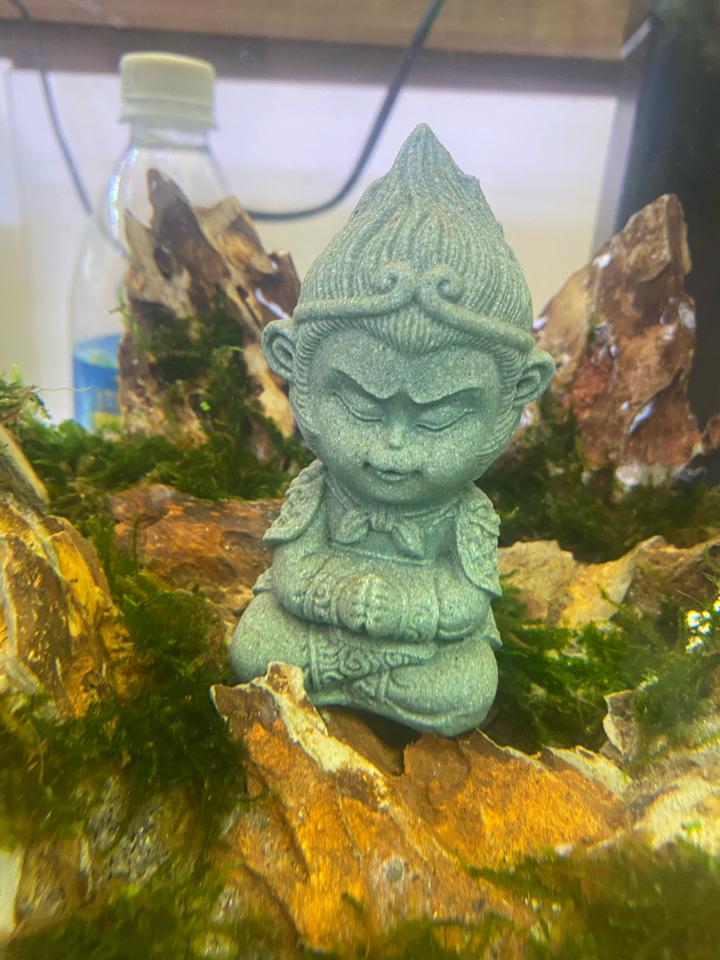 Ngộ không xi măng bé -duoc-ban-tai-Green Aquatic Quảng Yên