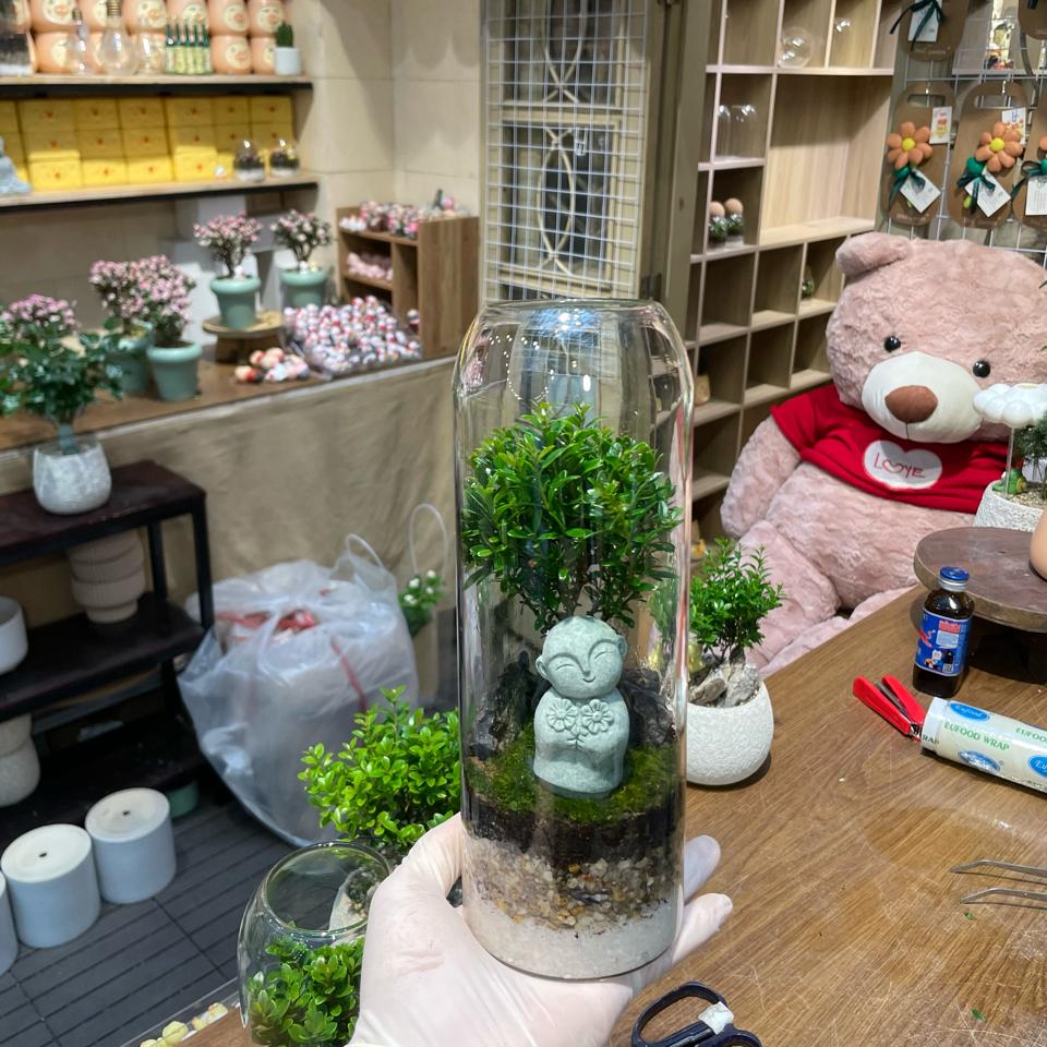 Terrarium tiểu diệp xích nam 25cm-duoc-ban-tai-Zerõ Garden - Sống Xanh Sống An Lành