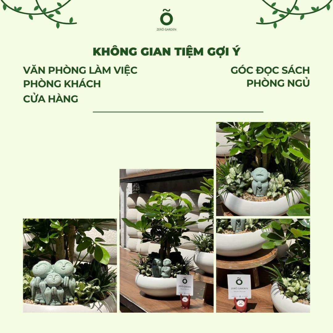Ngũ Gia Bì Mochi Size M-duoc-ban-tai-Zerõ Garden - Sống Xanh Sống An Lành