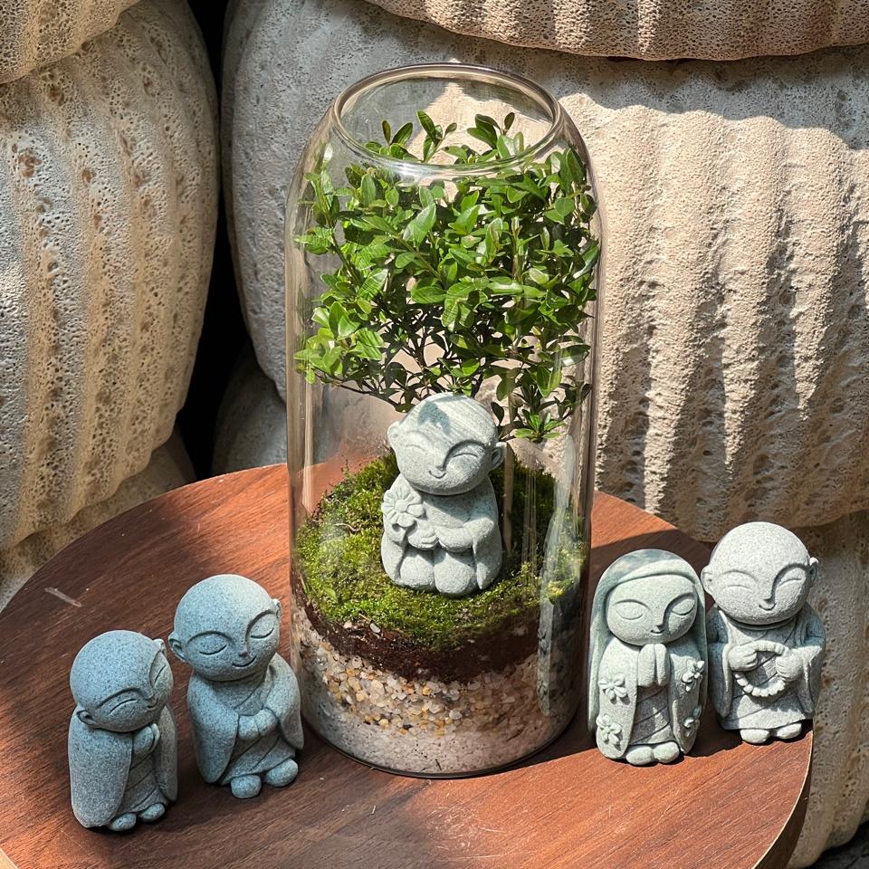 Terrarium Tiểu diệp xích nam 20cm-duoc-ban-tai-Zerõ Garden - Sống Xanh Sống An Lành