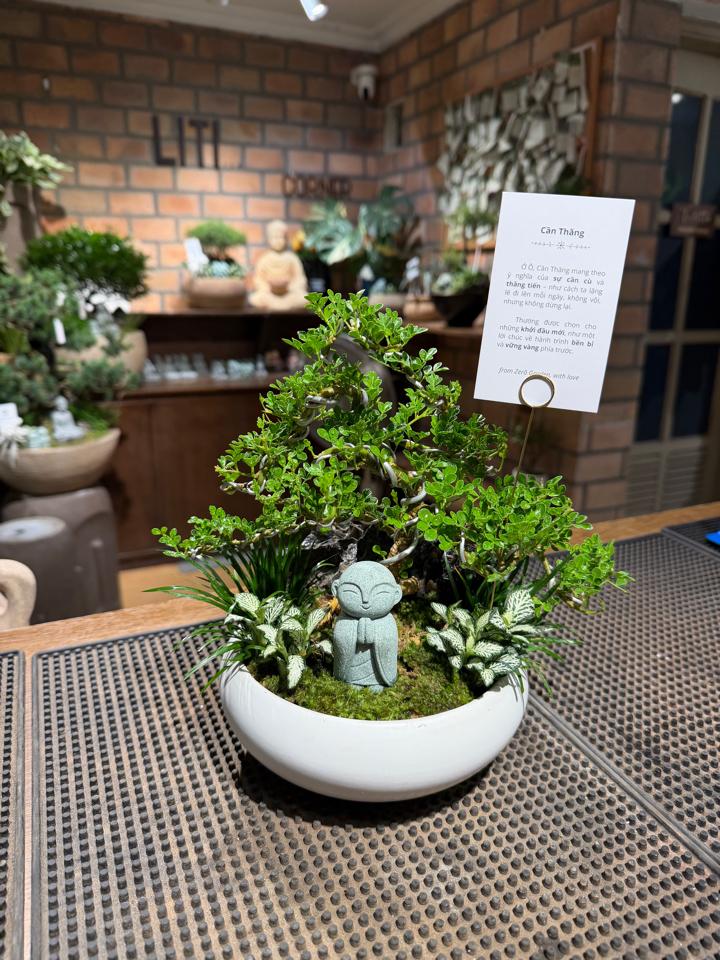 Cần thăng mochi size S-duoc-ban-tai-Zerõ Garden - Sống Xanh Sống An Lành