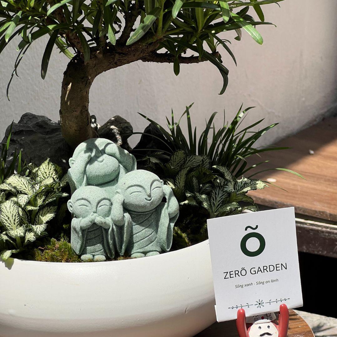 Tùng La Hán Mochi Size M-duoc-ban-tai-Zerõ Garden - Sống Xanh Sống An Lành