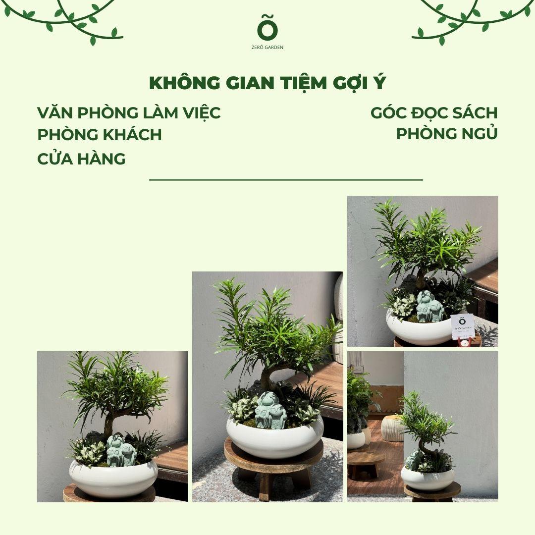 Tùng La Hán Mochi Size M-duoc-ban-tai-Zerõ Garden - Sống Xanh Sống An Lành