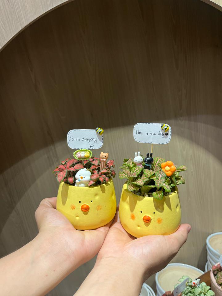 Cẩm nhung Gà cheese-duoc-ban-tai-Zerõ Garden - Sống Xanh Sống An Lành