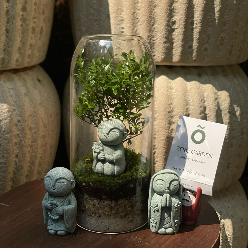 Terrarium Tiểu diệp xích nam 20cm-duoc-ban-tai-Zerõ Garden - Sống Xanh Sống An Lành