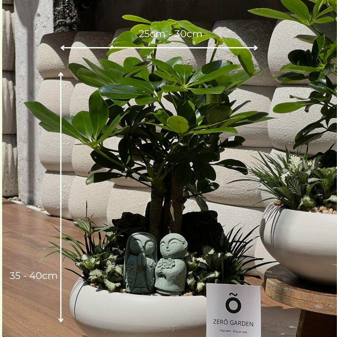 Ngũ Gia Bì Mochi Size M-duoc-ban-tai-Zerõ Garden - Sống Xanh Sống An Lành