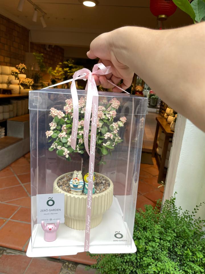 Box quà gói dola 21x 32-duoc-ban-tai-Zerõ Garden - Sống Xanh Sống An Lành