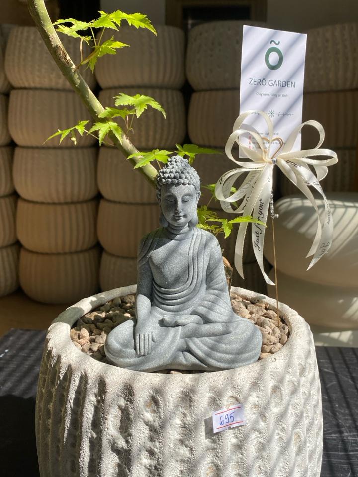 Phong lá xanh gốm atlantic bí ngô-duoc-ban-tai-Zerõ Garden - Sống Xanh Sống An Lành