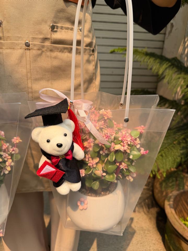 Set dola quà tốt nghiệp-duoc-ban-tai-Zerõ Garden - Sống Xanh Sống An Lành