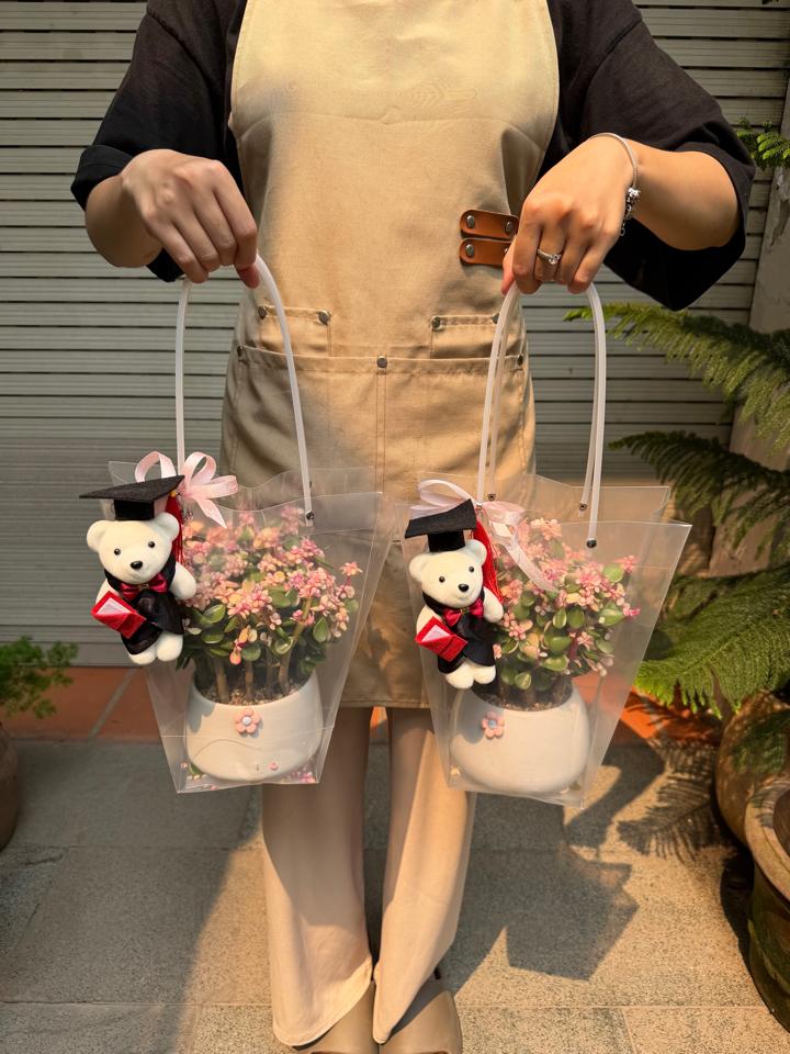 Set dola quà tốt nghiệp-duoc-ban-tai-Zerõ Garden - Sống Xanh Sống An Lành