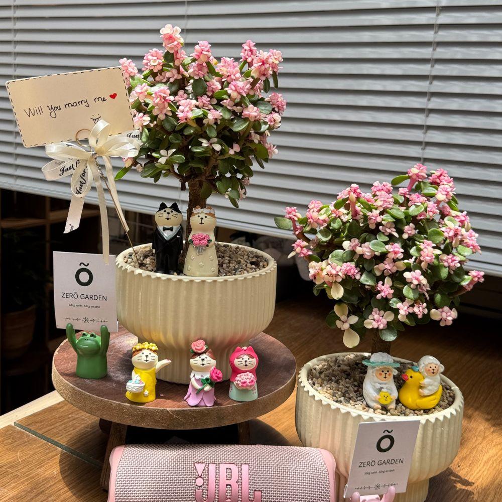 Dolla Cổ Thụ Tăm Nấm-duoc-ban-tai-Zerõ Garden - Sống Xanh Sống An Lành