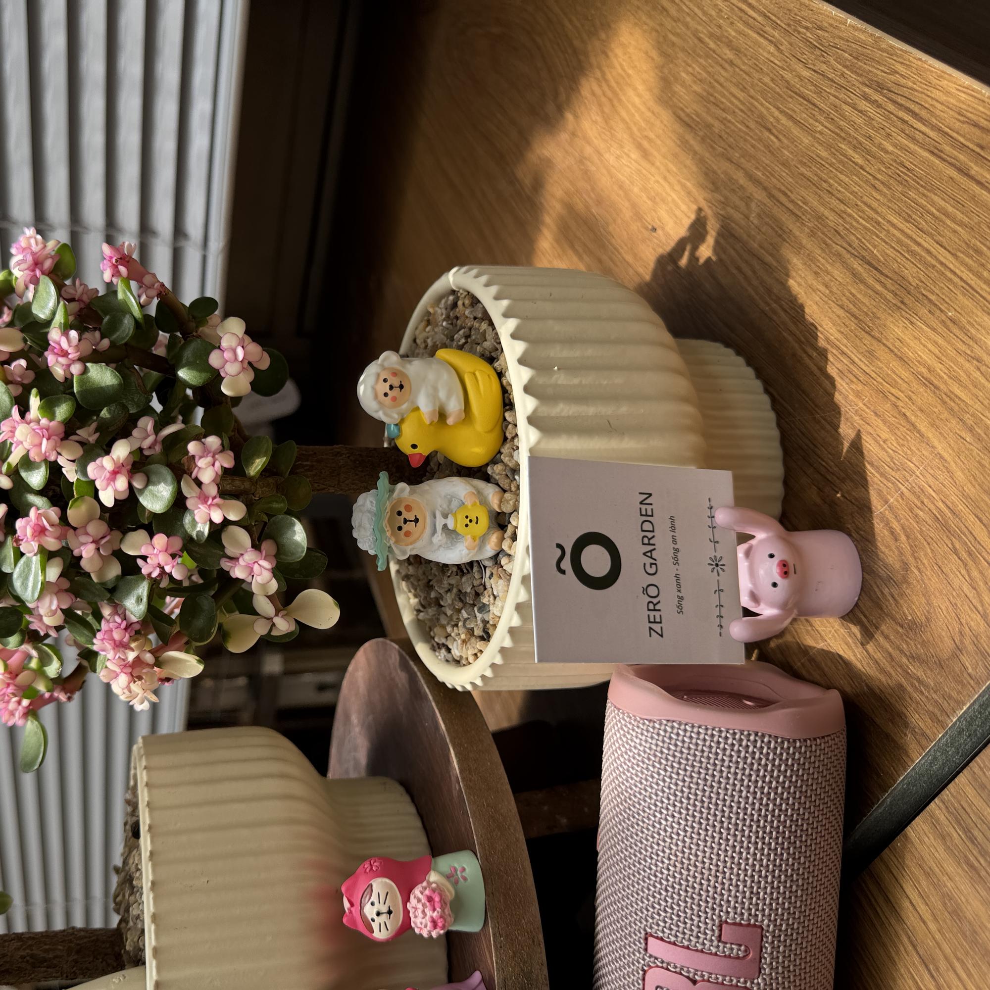 Dolla Cổ Thụ Tăm Nấm-duoc-ban-tai-Zerõ Garden - Sống Xanh Sống An Lành