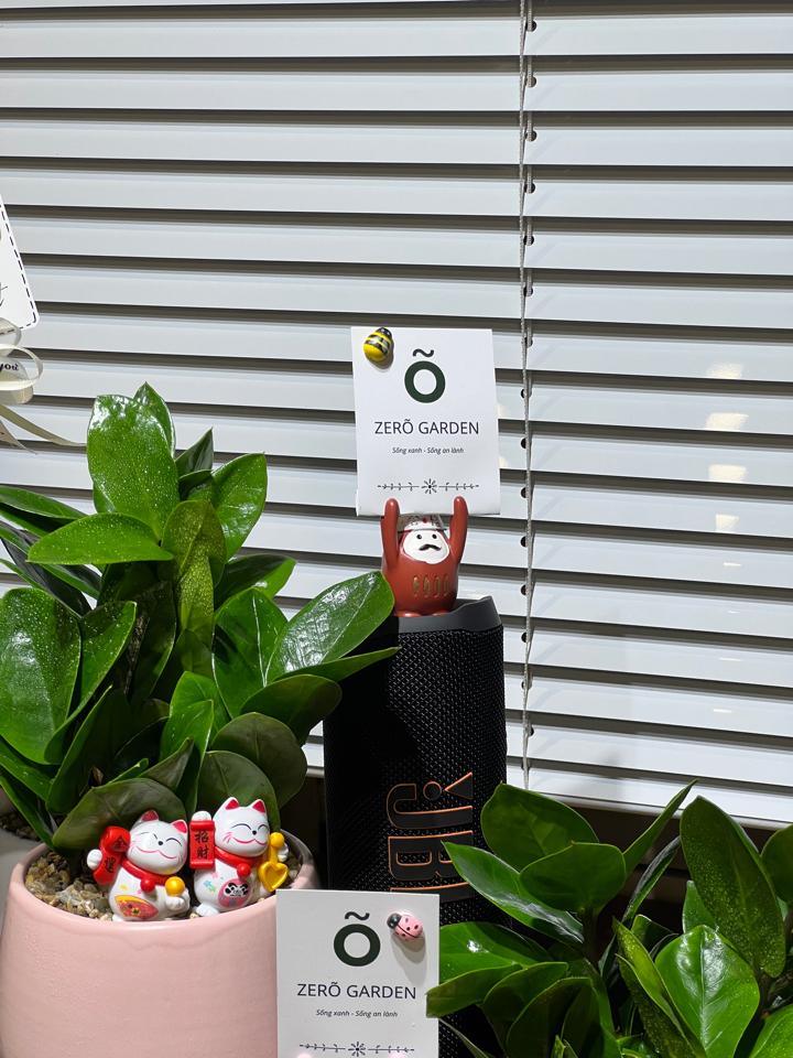 Nhài gift-duoc-ban-tai-Zerõ Garden - Sống Xanh Sống An Lành