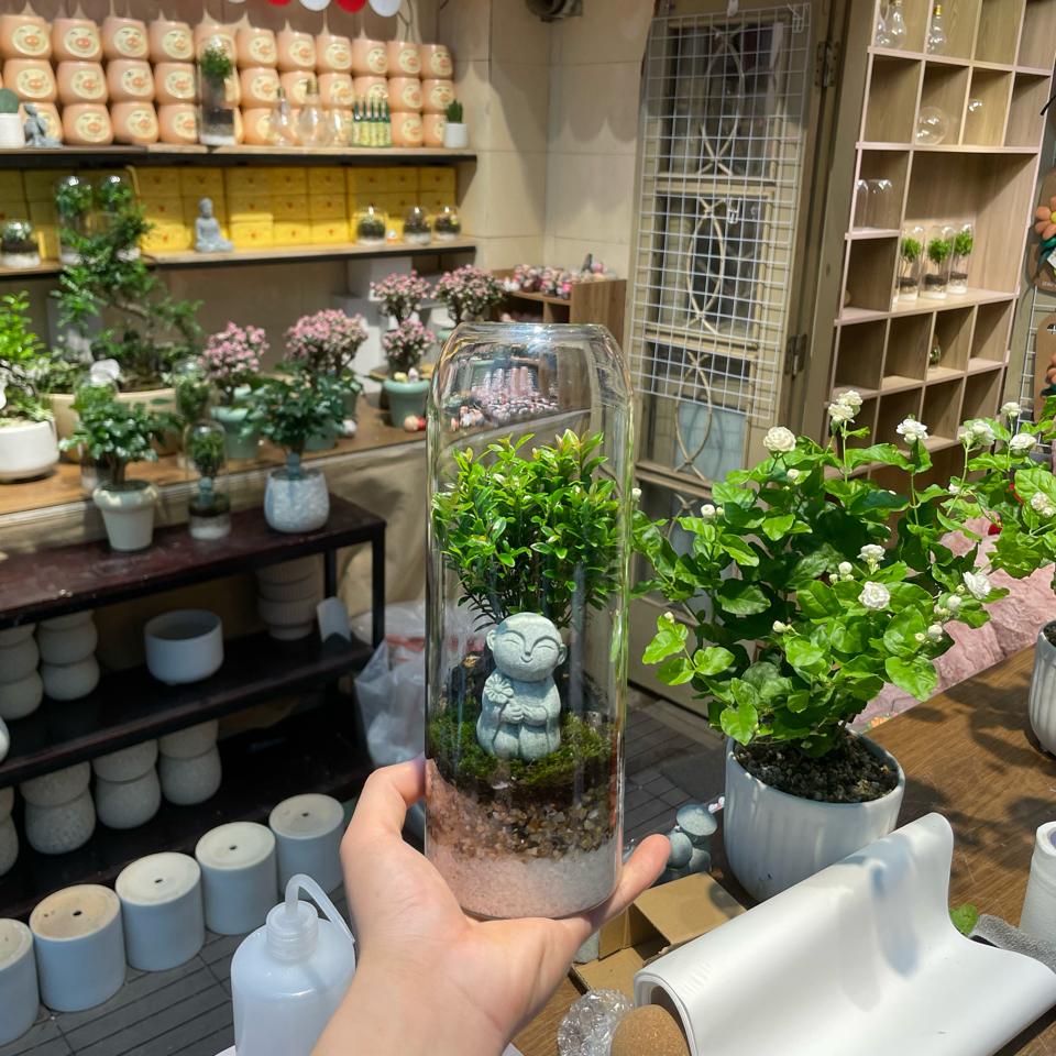 Terrarium tiểu diệp xích nam 25cm-duoc-ban-tai-Zerõ Garden - Sống Xanh Sống An Lành