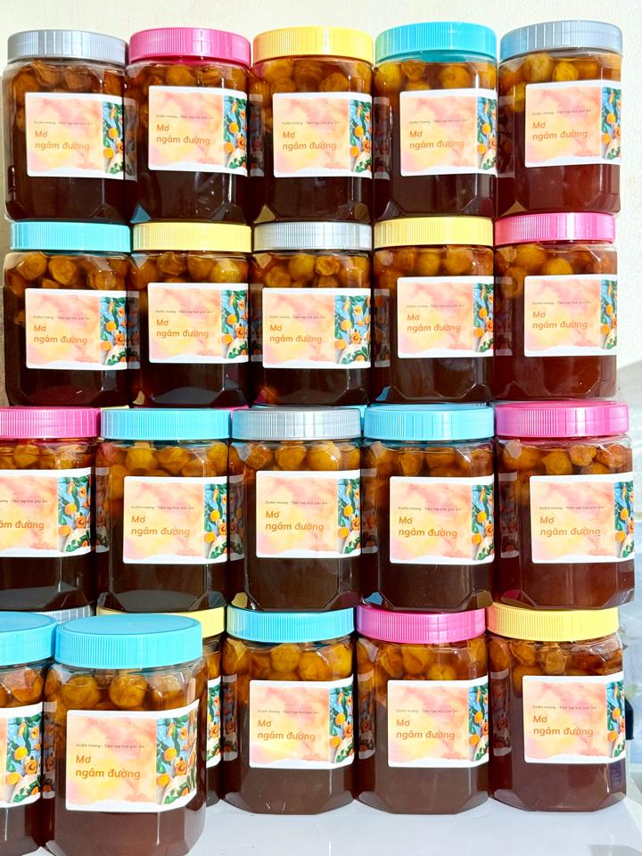 Mơ ngâm đường 1kg-duoc-ban-tai-Dziễm Hương - Tiệm tạp hoá giấc mơ