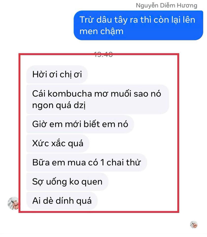 Kombucha mơ muối ngọt-duoc-ban-tai-Dziễm Hương - Tiệm tạp hoá giấc mơ